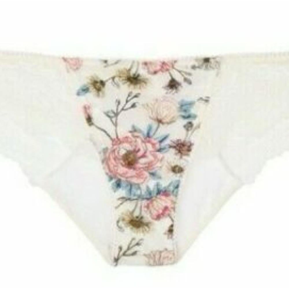 Victoria's Secret Dream Angels Embroidered Mesh Bikini Panty
